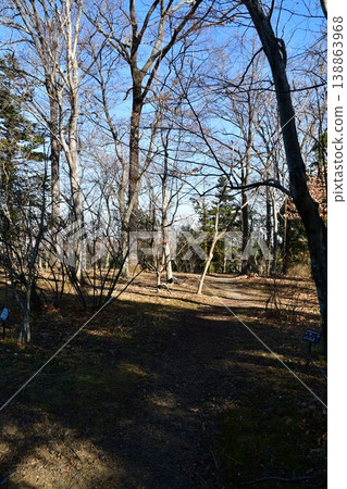 Hachigata Castle 083 Main Enclosure Site 138863968