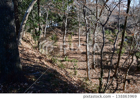 Hachigata Castle 082: From the lower bailey of the palace to the main keep. 138863969