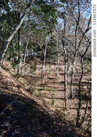 Hachigata Castle 081: From the lower bailey of the palace to the main keep 138863970
