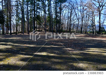 八形城 018 主城遺址 138863983