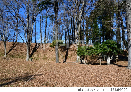 Hachigata Castle 049 Main Enclosure Earthwork 138864001