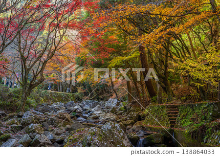 Scenery of Kuragari Valley in Okazaki City (Aichi Prefecture) 138864033