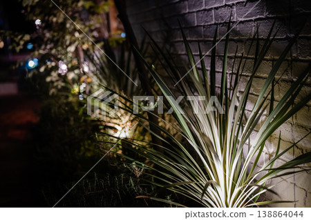 在夜色中,燈光和植物營造出模糊的背景。 在夜色中,燈光和植物營造出模糊的背景。 138864044