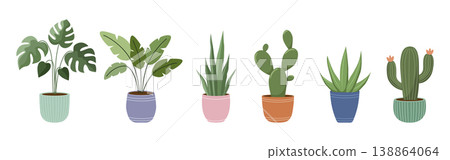 Collection of indoor house plants in colorful ceramic pots isolated on white background Collection of indoor house plants in colorful ceramic pots isolated on white background 138864064