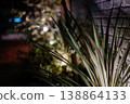 A blurred background with nighttime light and plants. 138864133