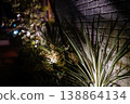 A blurred background with nighttime light and plants. 138864134