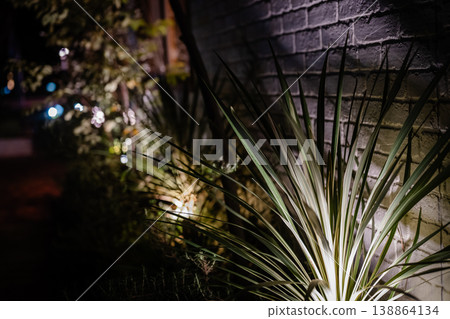 A blurred background with nighttime light and plants. 138864134