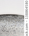Silver Salmon Fish Scales Texture Background 138864580