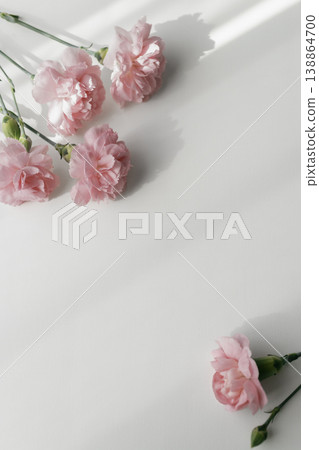 Pink carnations and white background with copy space. Mother's Day theme. Pink carnations and white background with copy space. Mother's Day theme. 138864700