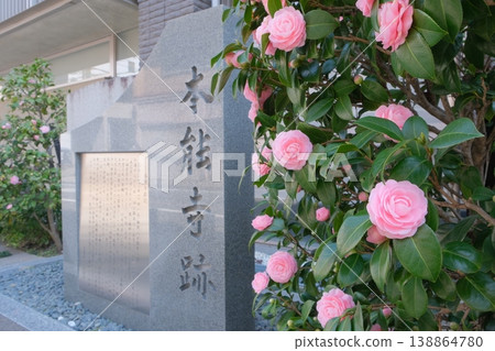 在山茶花盛開的本能寺遺址，矗立著一座石碑。 138864780