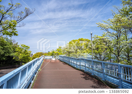 初夏的藍天和行人天橋,東京江戶川區清心町 初夏的藍天和行人天橋,東京江戶川區清心町 138865092