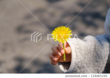 孩子的手伸出一朵蒲公英:春天來了,純潔的心也隨之而來。 孩子的手伸出一朵蒲公英:春天來了,純潔的心也隨之而來。 138865295
