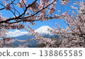 Mount Fuji in spring, as seen from the cherry blossom-filled Arakurayama Sengen Shrine. 138865585