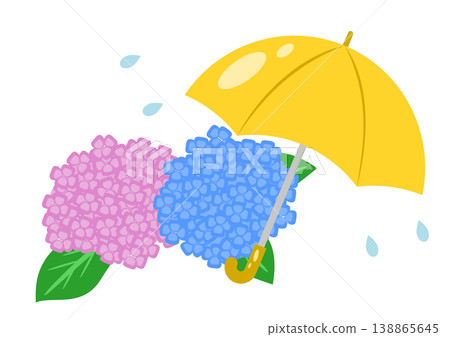 An illustration of hydrangeas and a yellow umbrella, depicting a rainy season scene. 138865645