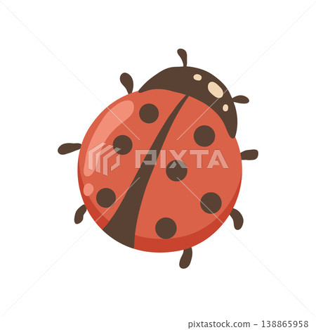 Vector illustration of a ladybug on white background Vector illustration of a ladybug on white background 138865958