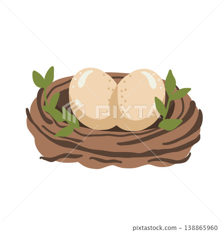 Vector illustration of nest with eggs on white background. Vector illustration of nest with eggs on white background. 138865960