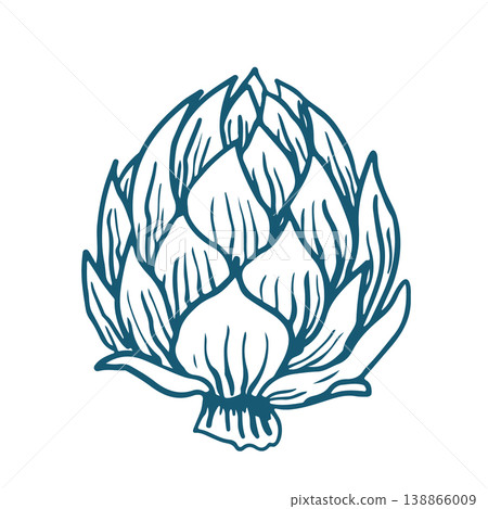 Hand drawn vector sketch Illustration of artichoke. Hand drawn vector sketch Illustration of artichoke. 138866009