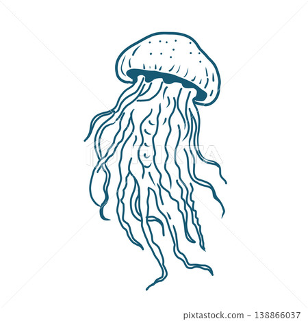 Hand drawn vector illustration of a Blue Jellyfish. 138866037
