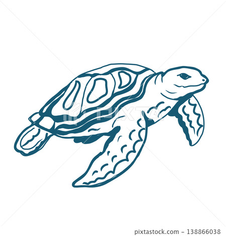 Vector illustration of a Sea turtle. Vector illustration of a Sea turtle. 138866038
