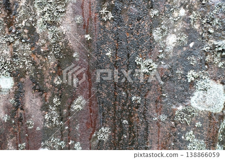 Rocks covered with lichens and moss 138866059