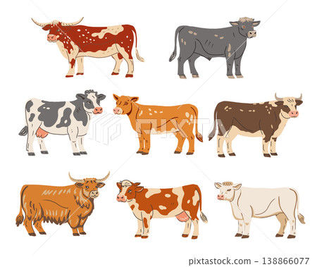 Vector set of farm animals. Hand drawn illustration cows of different breeds. Vector set of farm animals. Hand drawn illustration cows of different breeds. 138866077