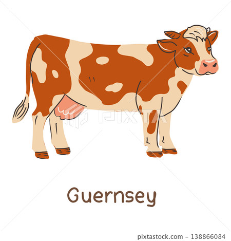 Cow Guernsey breed. Hand drawn vector illustration. 138866084