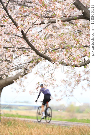 春天,櫻花盛開,一位男士騎著腳踏車穿梭在公園裡-稻木北綠地公園 春天,櫻花盛開,一位男士騎著腳踏車穿梭在公園裡-稻木北綠地公園 138866112
