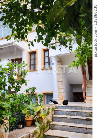 Cats resting in tranquil villa courtyard garden Cats resting in tranquil villa courtyard garden 138866230