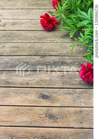 Red peonies and green leaves on rustic wooden background Red peonies and green leaves on rustic wooden background 138866236