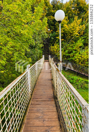 Wooden footbridge leading into green forest landscape Wooden footbridge leading into green forest landscape 138866252
