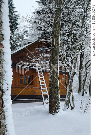 Wooden cabin nestled in winter forest with snow 138866272