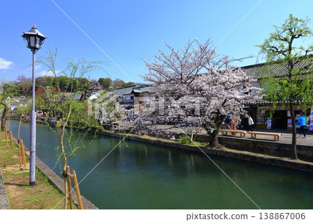 [Okayama Prefecture] Cherry blossoms bloom in the spring at Kurashiki Bikan Historical Quarter (Important Preservation District for Groups of Traditional Buildings) 138867006