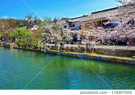 [Okayama Prefecture] Cherry blossoms bloom in the spring at Kurashiki Bikan Historical Quarter (Important Preservation District for Groups of Traditional Buildings) 138867008