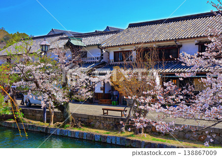 【岡山縣】倉敷美觀地區（國家重要傳統建造物群保存地區）春季櫻花盛開 138867009
