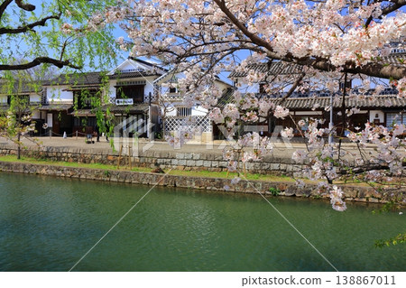 [Okayama Prefecture] Cherry blossoms bloom in the spring at Kurashiki Bikan Historical Quarter (Important Preservation District for Groups of Traditional Buildings) 138867011