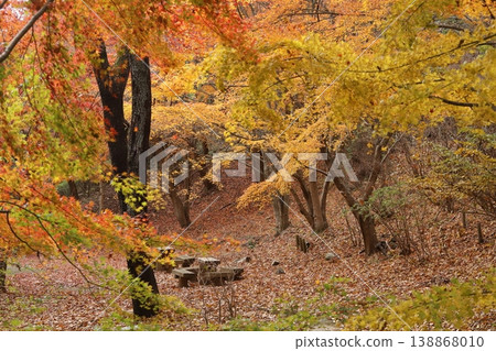 Autumn foliage scenery like something out of a picture book Autumn foliage scenery like something out of a picture book 138868010
