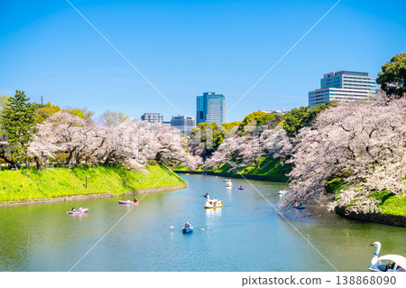 Cherry blossoms in full bloom at Chidorigafuchi, Tokyo. 138868090
