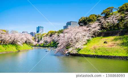 Cherry blossoms in full bloom at Chidorigafuchi, Tokyo. 138868093