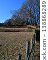 Hachigata Castle 132: Second Enclosure, Shiroyama Inari Shrine 138868289
