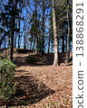 Hachigata Castle 130: Lower Palace Enclosure, Main Enclosure Earthwork 138868291