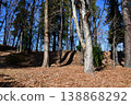 Hachigata Castle 129: Lower Palace Enclosure, Main Enclosure Earthwork 138868292