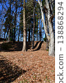 Hachigata Castle 128: Lower Palace Enclosure, Main Enclosure Earthwork 138868294