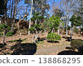 Hachigata Castle 127: Gotenshita Kuruwa (Lower Palace Enclosure) 138868295