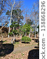 Hachigata Castle 126: Gotenshita Kuruwa (Lower Palace Enclosure) 138868296