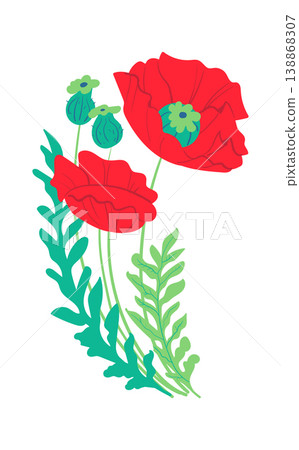 Poppy Flowers With Seed Pods Cartoon Poppy Flowers With Seed Pods Cartoon 138868307