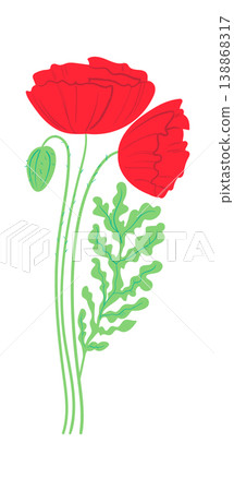 Poppy Flower Stem Botanical Poppy Flower Stem Botanical 138868317