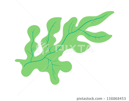 Arugula Leaf With Veins Cartoon Arugula Leaf With Veins Cartoon 138868453