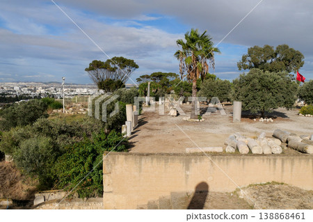 突尼斯，迦太基遺址，比爾薩山 138868461