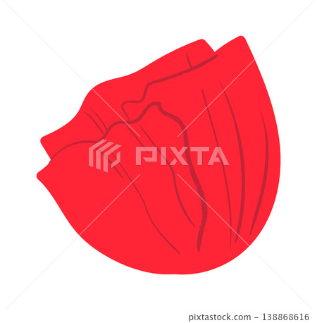 Poppy Petal Closeup Line Art 138868616