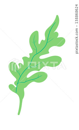 Arugula Leaf Herb Botanical 138868624
